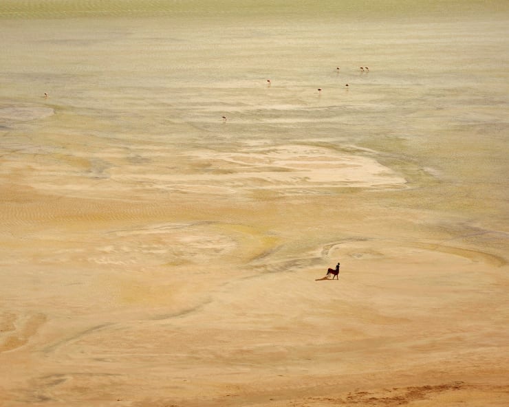 DAVID UZOCHUKWU, DROWN IN MY MAGIC - GUIDANCE, 2019