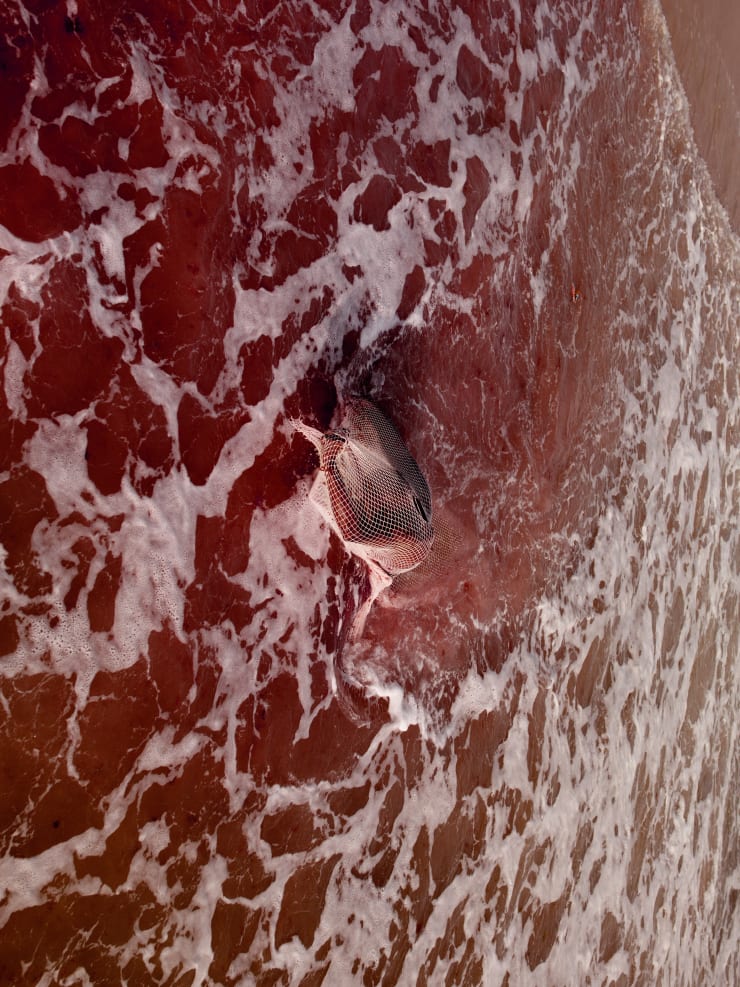 DAVID UZOCHUKWU, DROWN IN MY MAGIC: ECHO, 2019