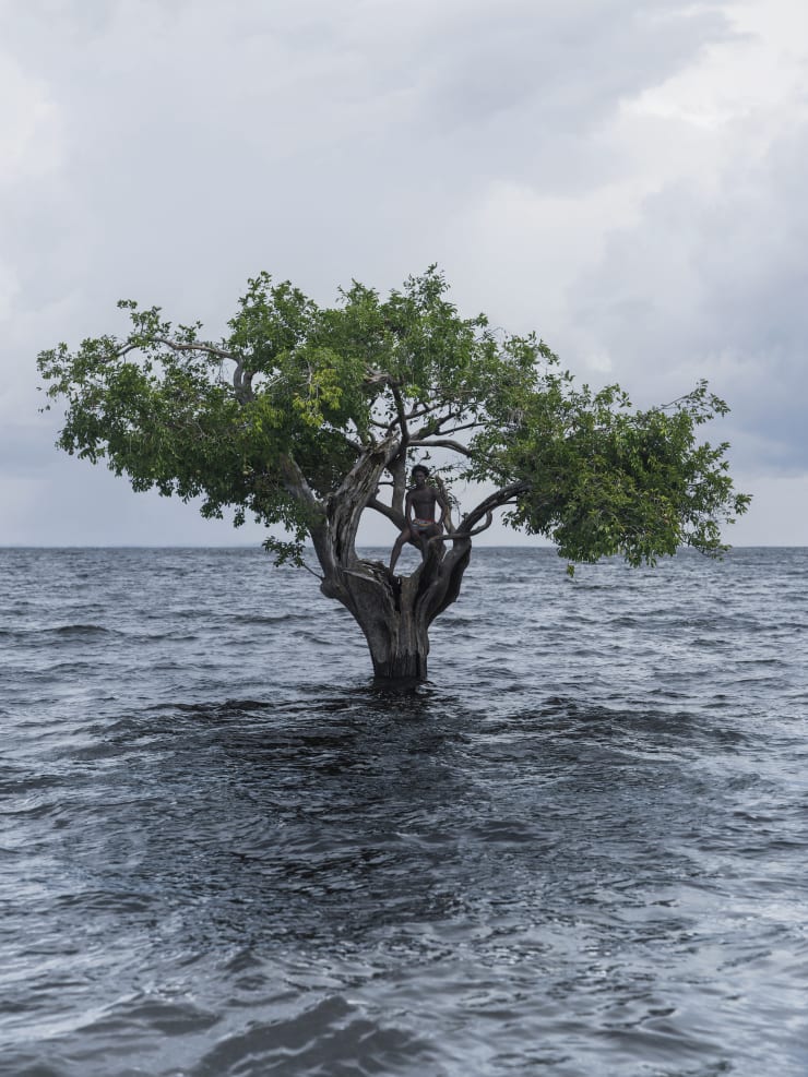 GLEESON PAULINO, Refúgio (Refuge) Rio Negro, Amazonas, 2019
