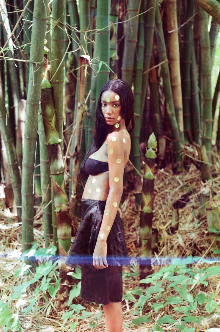 OLGA DE LA IGLESIA, LE JARDIN BOTANIQUE CARBAISE, 2015