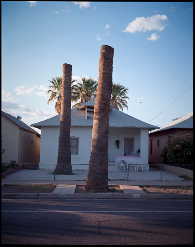 HÉCTOR MEDIAVILLA, LATINGO BORDER #5, 2010