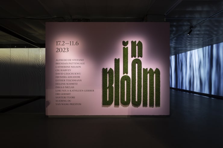IN BLOOM A Tribute To Nature, curated by Jessica Jarl x Fotografiska Sweden