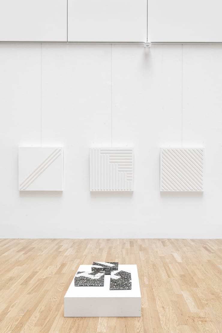 Pb Ornamentalwhiteout Siteminsel 2021 6