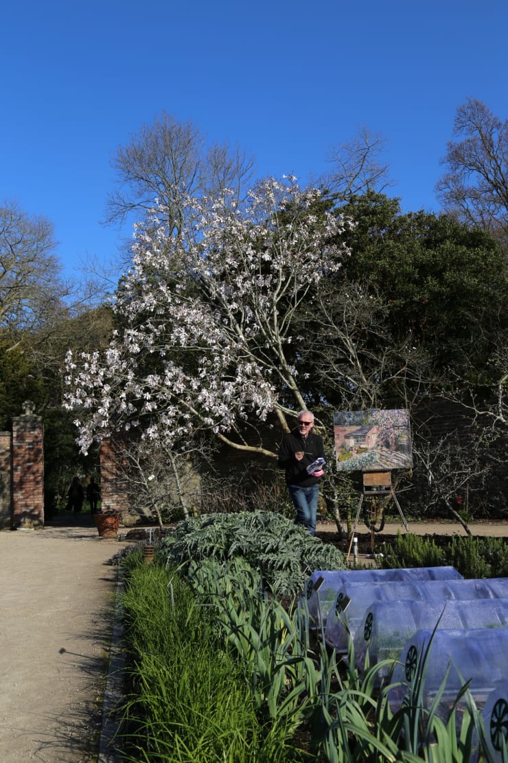 22 MARCH 2020 NATIONAL BOTANIC GARDENS OF IRELAND, DUBLIN Magnolia Blossom on Mother's Day photo: Agata Byrne