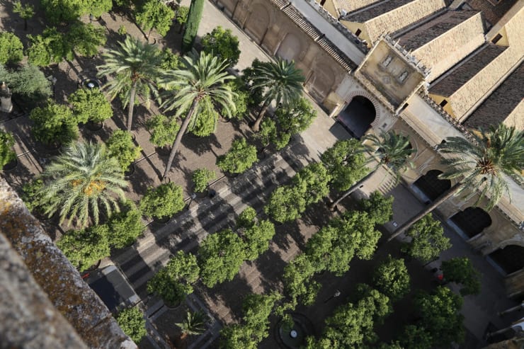 Patio de Naranjos, Cordoba Mosque Cathedral, Spain