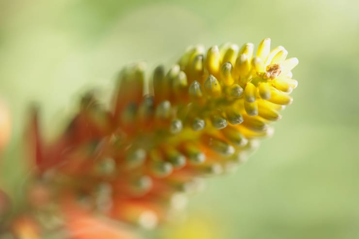 _mg_4456.jpg