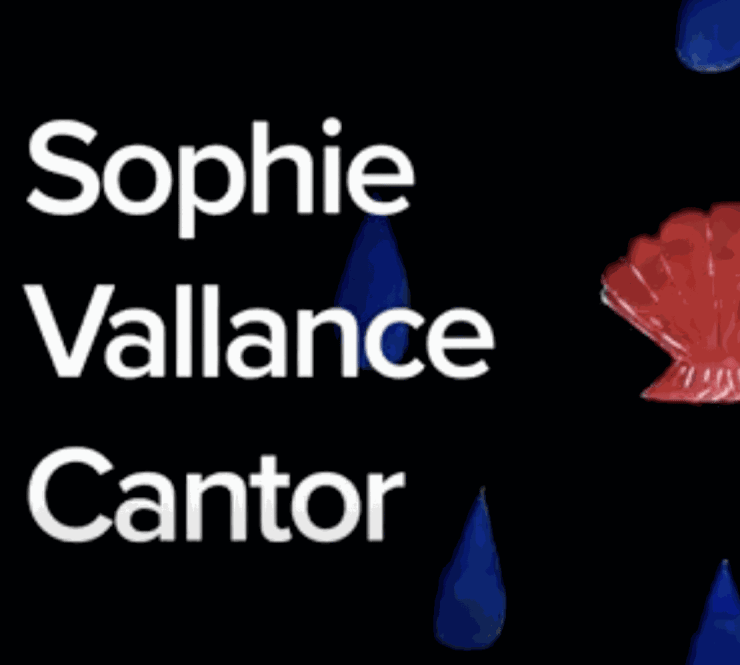 Artist Interview | Sophie Vallance Cantor