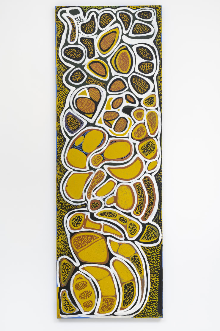 Rosie Murnku Marnku Tasman, Seed Dreaming, 2011