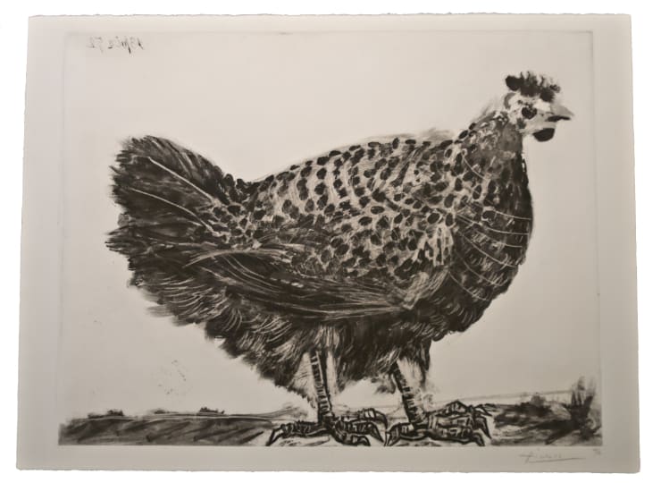 A hen