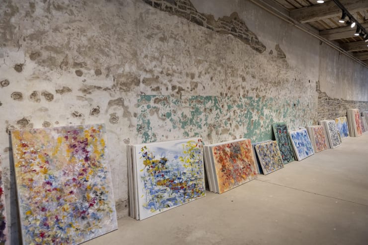 Karen Dover Solo Exhibit Z725600