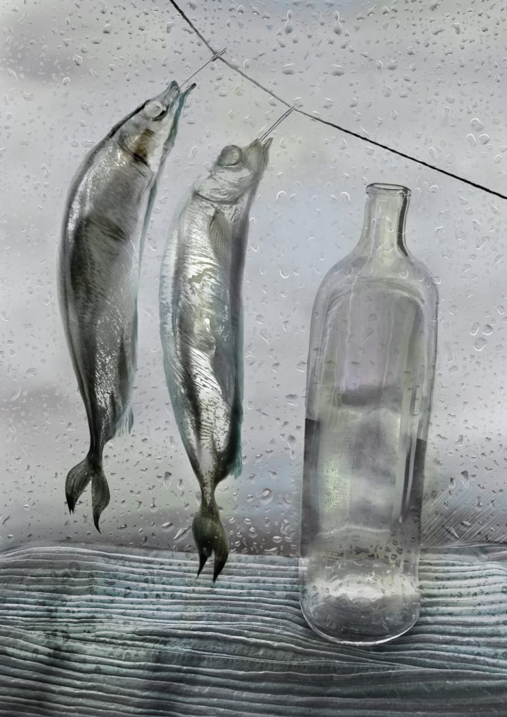 Wind With Fishes 2004