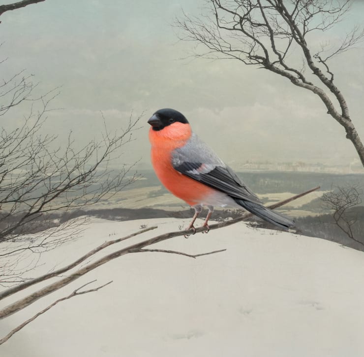 Christmas Exhibition 2024 Stiftung Starke, Löwenpalais Berlin