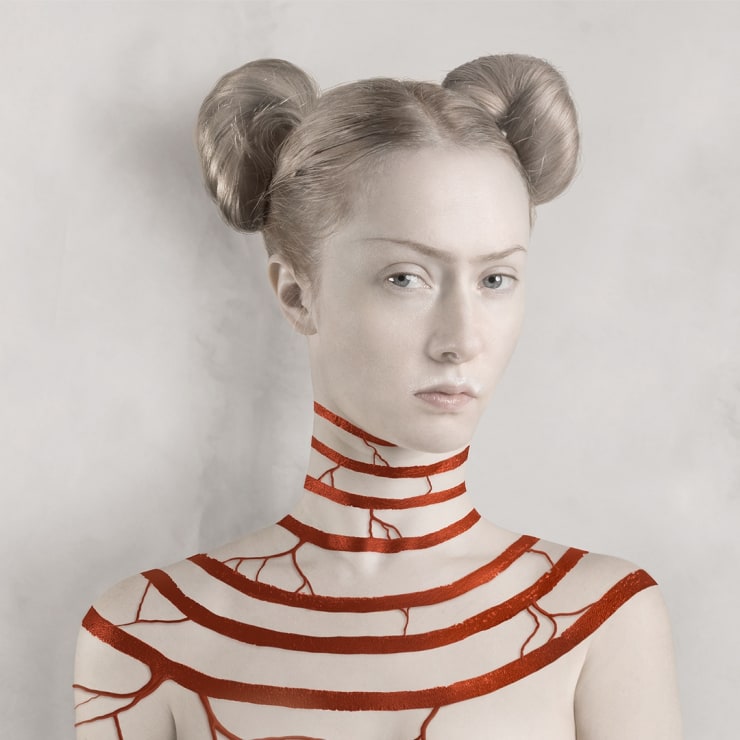 Nature Morte. Contemporary Artists Revive the Still Life National Museum Wroclaw