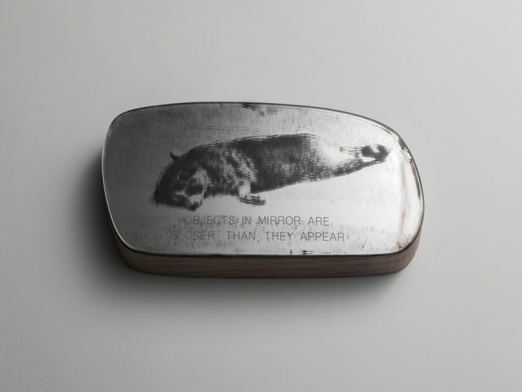 Objects in Mirror Nr. 7. Racoon by Mária Pecsics