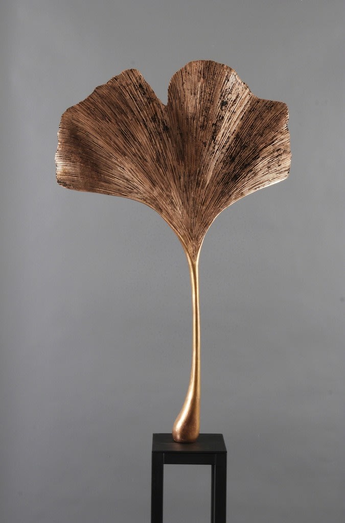 Ginkgo by Áron Zsolt Majoros