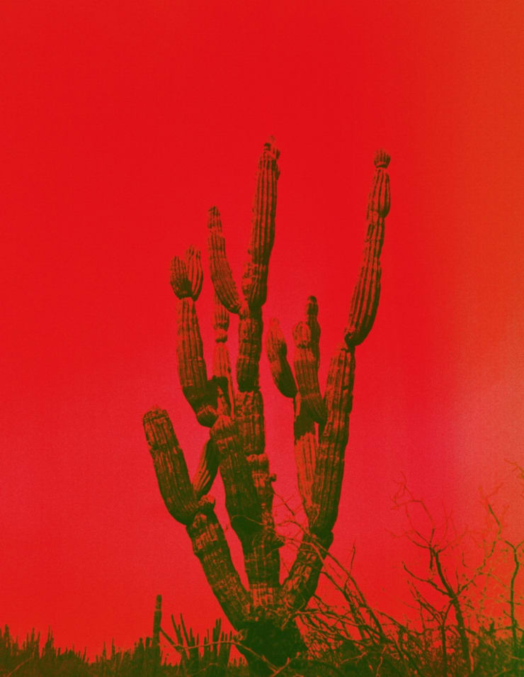 Baja, 2017 Printed on Hahnemühle Rag Paper 34 x 44 cm Edition 1 of 5 plus 2 AP (KB 101)