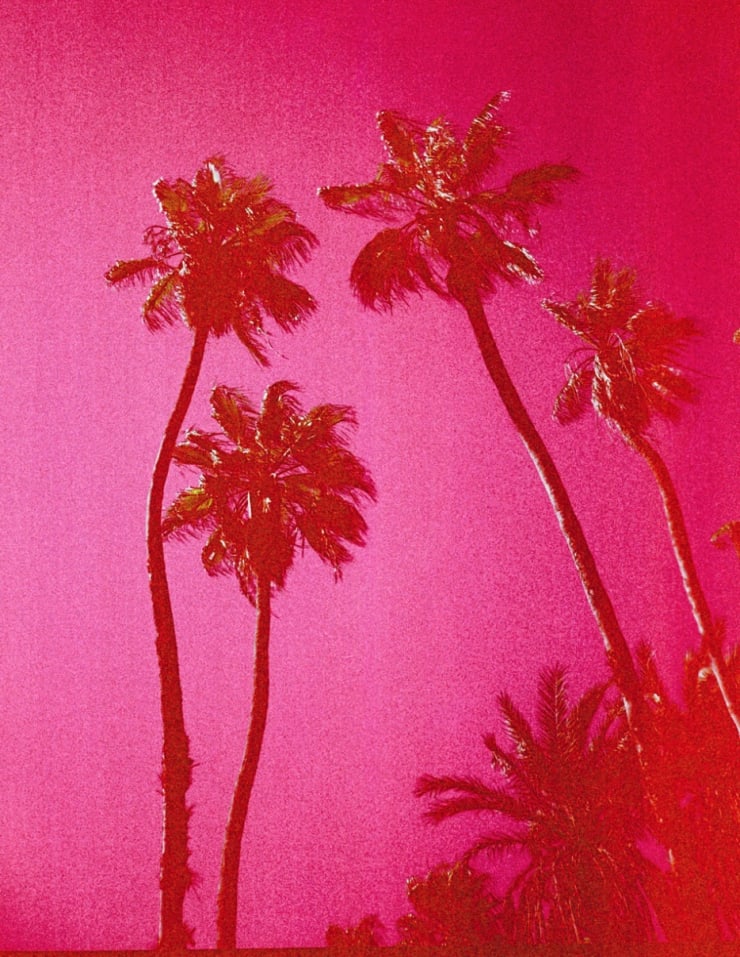 Pink Palms, 2017 Printed on Hahnemühle Rag Paper 34 x 44 cm Edition 1 of 5 plus 2 AP (KB 103)