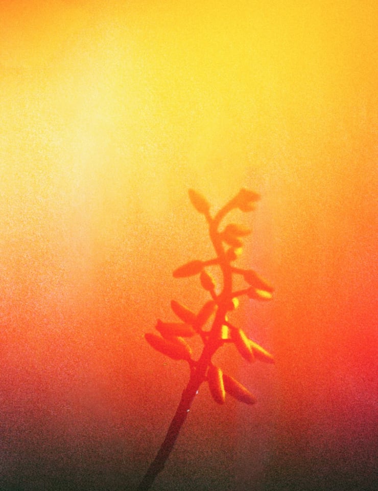 Untitled, 2017 Printed on Hahnemühle Rag Paper 34 x 44 cm Edition 1 of 5 plus 2 AP (KB 104)