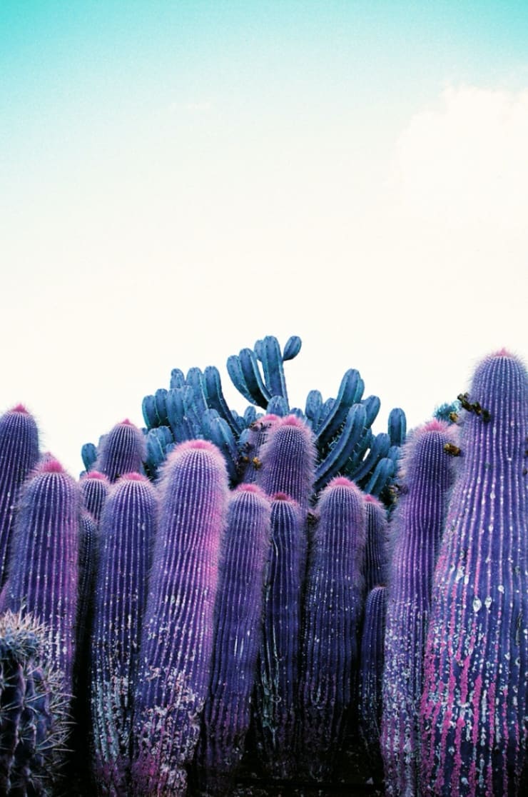 Untitled, 2015 Printed on Hahnemühle Rag Paper 120 x 80cm (Available in smaller sizes) Edition 1 of 5 plus 2 AP