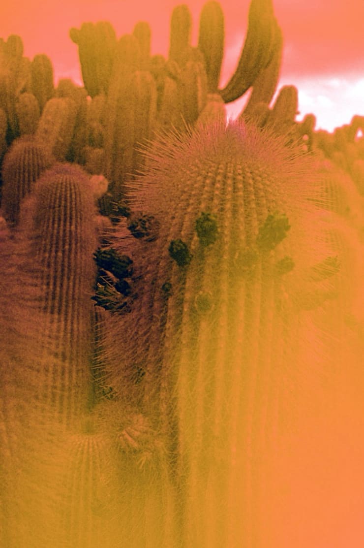 Bubblegum, 2017 Printed on Hahnemühle Rag Paper 20 x 30 cm Edition 1 of 5 plus 2 AP