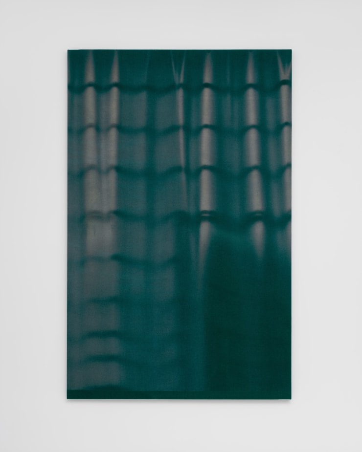 Alek O. Paolo II, 2019 Found wool curtain