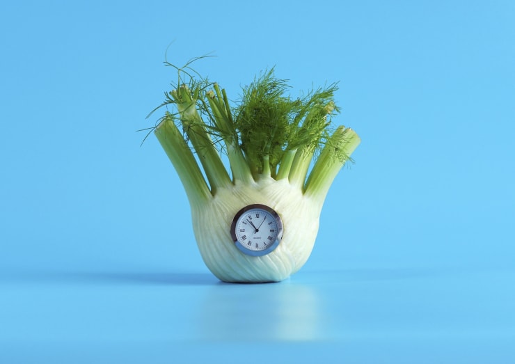 Clara Hastrup Untitled (Fennel), 2021 Digital c-print on semi-gloss paper