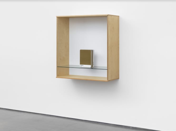 Haim Steinbach Untitled (Pantone 872), 2016 Baltic birch plywood, plastic laminate and glass box, metal Pantone storage box