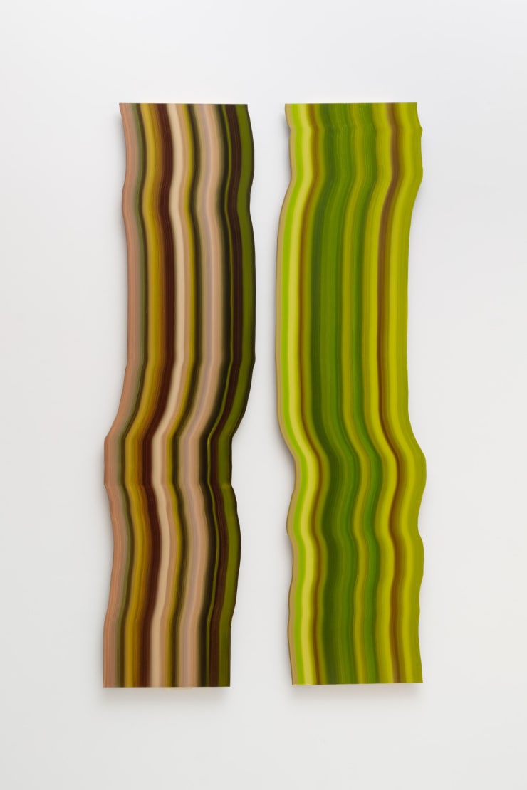 James Hillman Growth Ring (2), 2021 Oil on Dibond