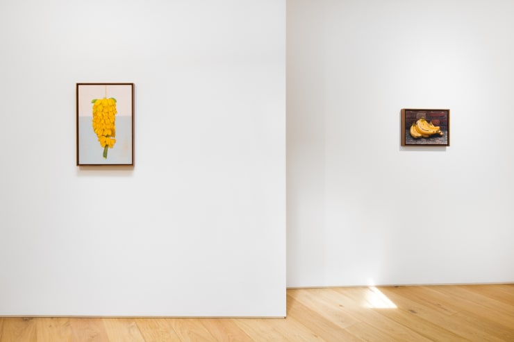 004 Lamb Gallery T4A0663 Edit Low Res