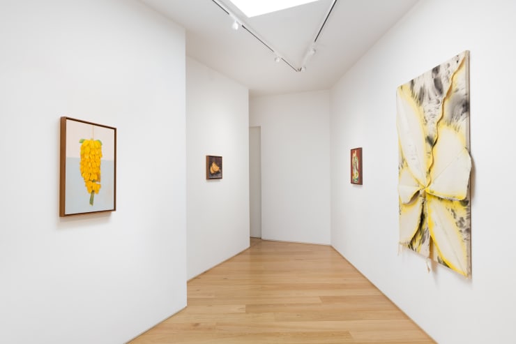 022 Lamb Gallery T4A0699 Edit