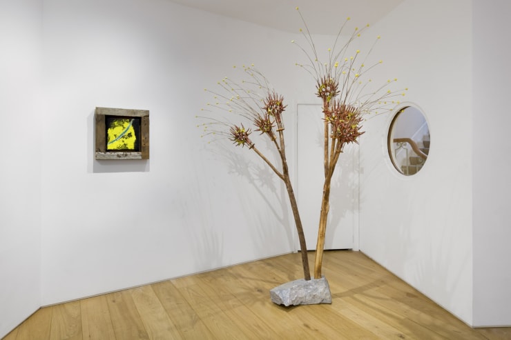 037 Lamb Gallery T4A9471 Edit Low Res