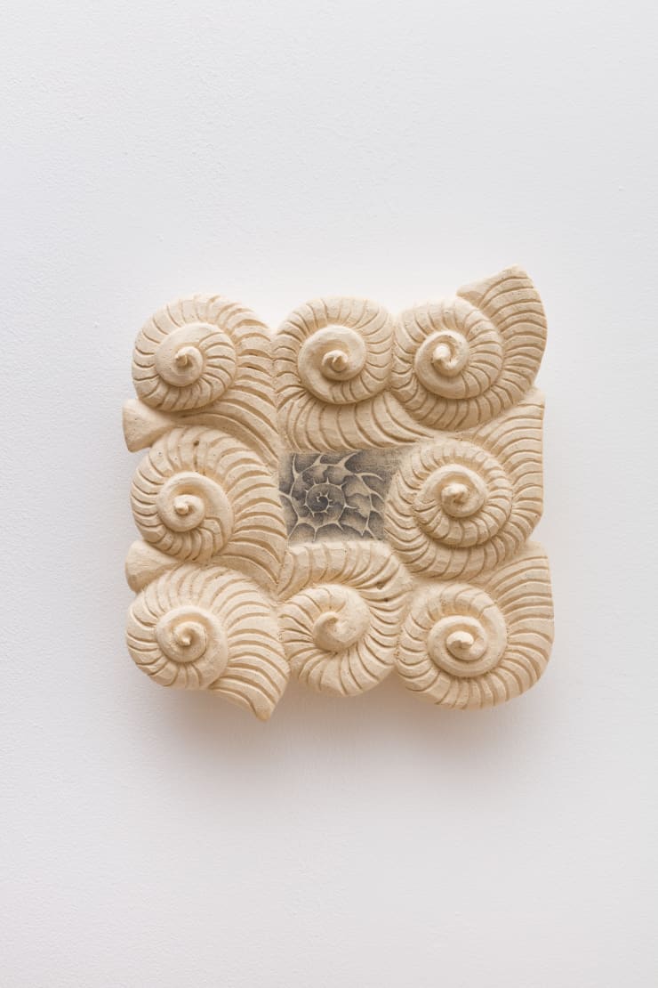 Ayla Tavares fossil 6, 2024 Graphite on ceramic