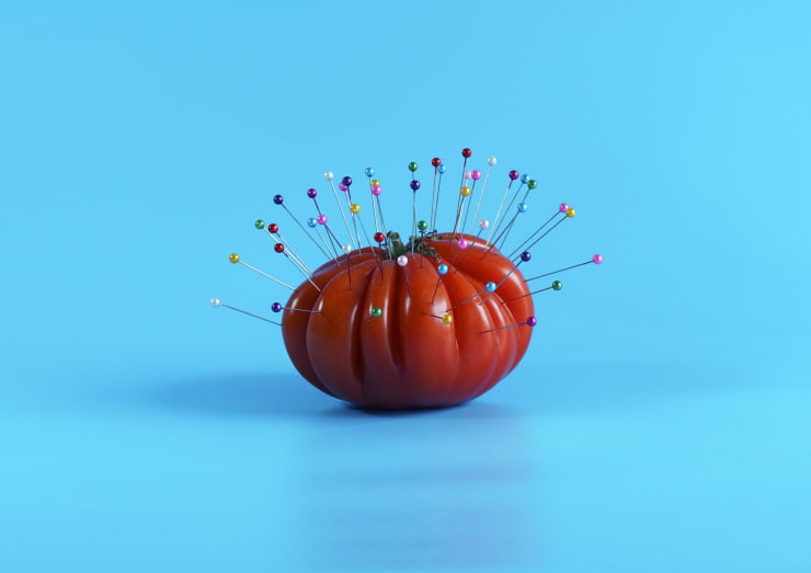 Clara Hastrup Untitled (Beef Tomato), 2021 Digital c-print on semi-gloss paper