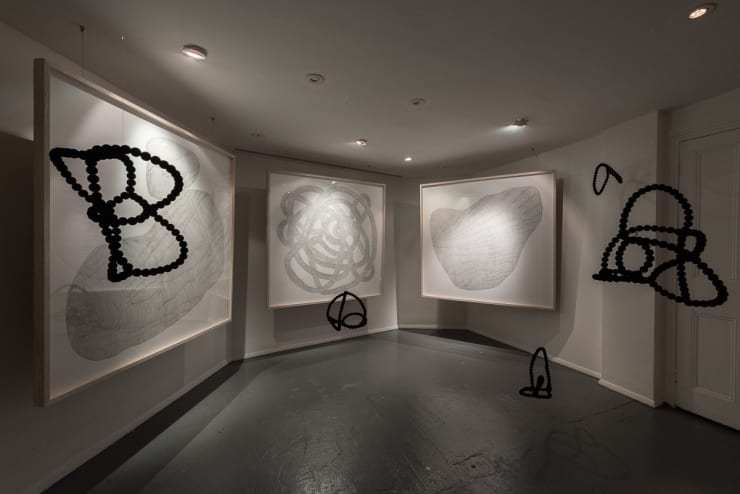 An Irregular Network of Passages Camilla Emson, Tete de Alencar, G.T. Pellizzi. Exhibition curated by Roya Sach