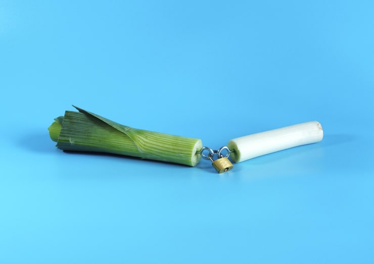 Clara Hastrup, Untitled (Leek) (2021). Courtesy of LAMB Gallery, London.