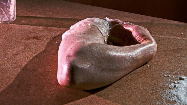 Malte Bruns, Küchenstück, 2017, HD Video Loop, 06:45min.