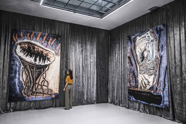 Blind Fire Exb View Sdb8269