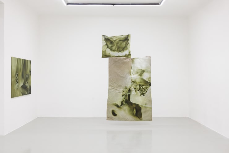 Installation View: Systems of Subversion: Paulina Aumayr, Allen-Golder Carpenter, Thomas Supper, 2025