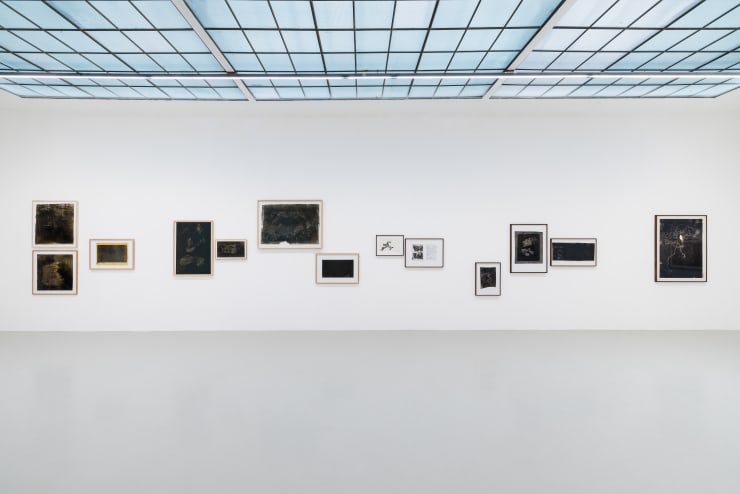 Maximilian Prüfer, Installation View: Nebenlinien - 15 Jahre Naturantypie, 2025 (Photo Credits: Manuel Carreon Lopez)