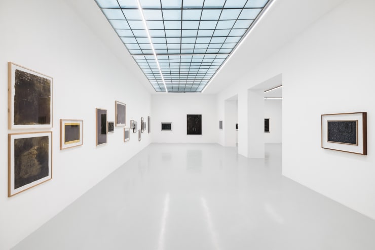 Maximilian Prüfer, Installation View: Nebenlinien - 15 Jahre Naturantypie, 2025 (Photo Credits: Manuel Carreon Lopez)