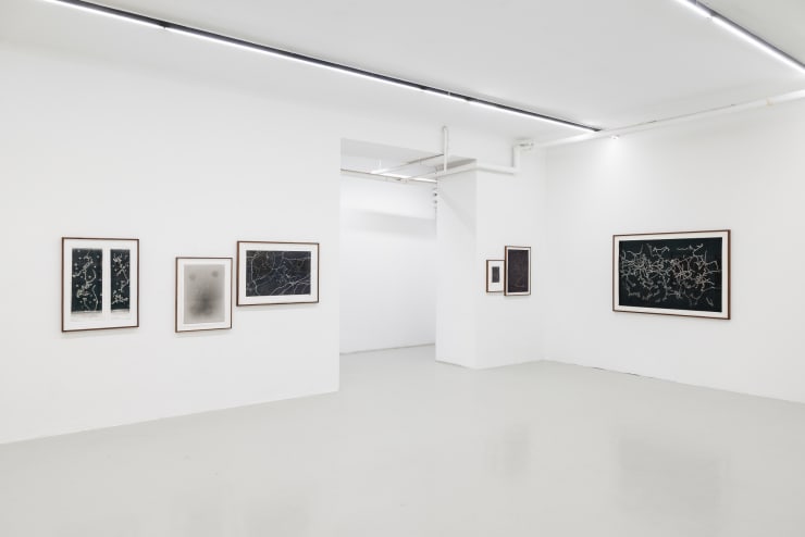 Maximilian Prüfer, Installation View: Nebenlinien - 15 Jahre Naturantypie, 2025 (Photo Credits: Manuel Carreon Lopez)