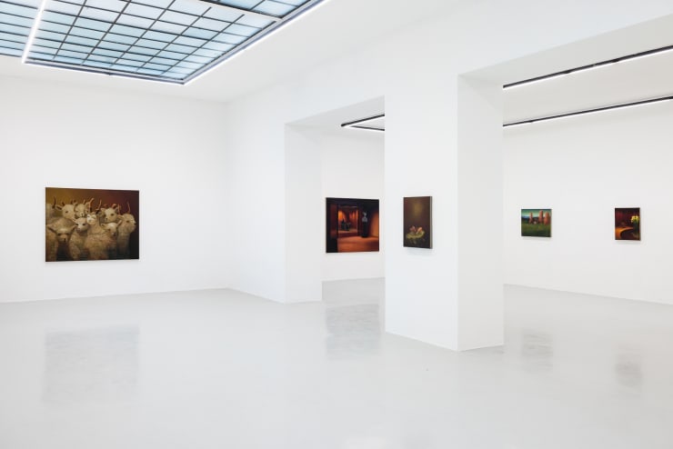 Marc Henry Installation View: Field Trip, Galerie Kandlhofer, Vienna, 2025