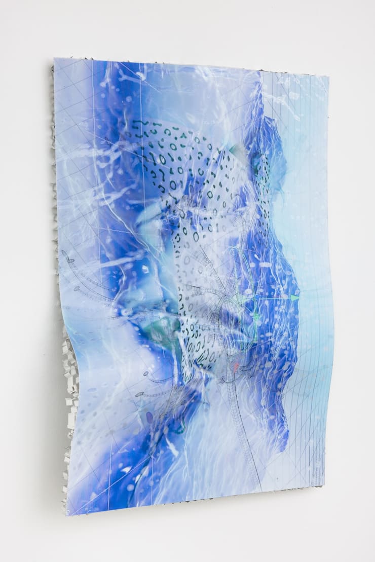 Focus On | Estrid Lutz & Melissa Steckbauer