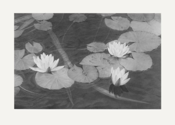 Li Trieb, Seerosen III, 12.1.2013-12:05 – 19.1.2013-17:42 | 2890 Minuten gezeichnete Zeit