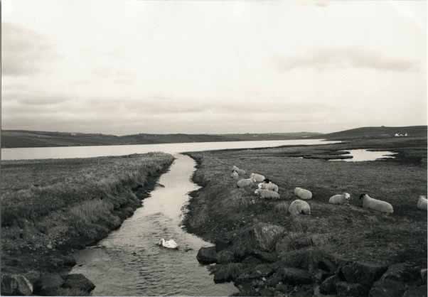 #1513, stampa ai sali d'argento.