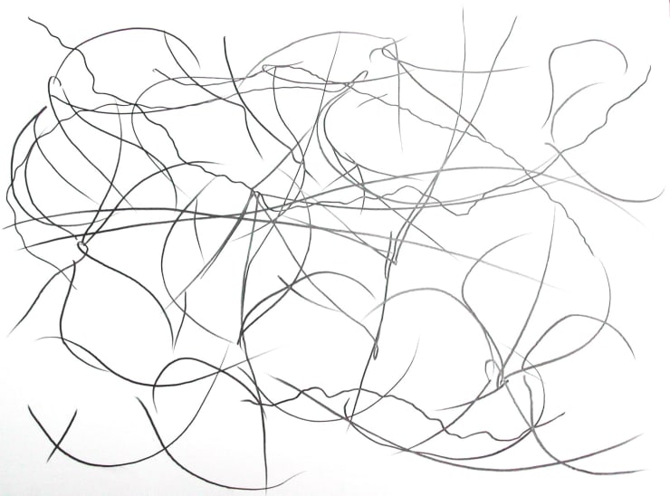 Another Nature, 2008, matita su carta, cm 56X76