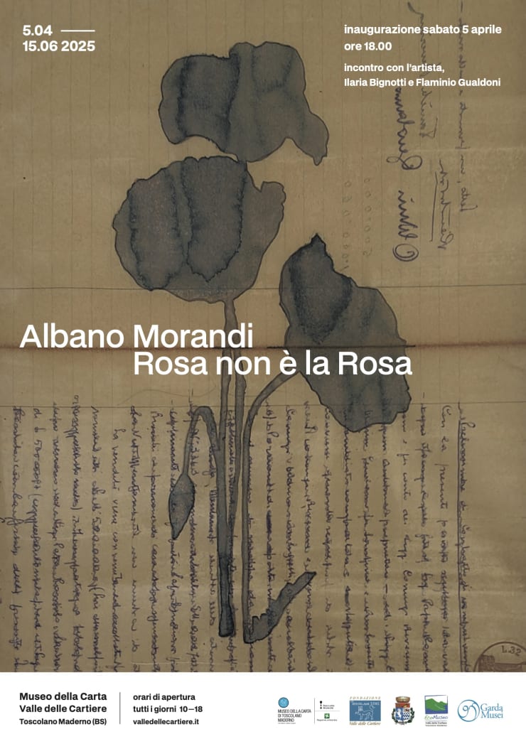 Rosa non è la Rosa , Albano Morandi