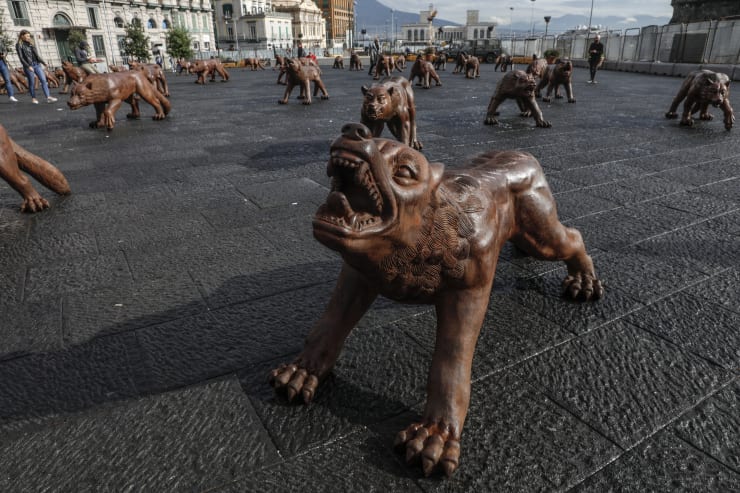 Veduta dell'installazione con le opere di Liu Ruowang.