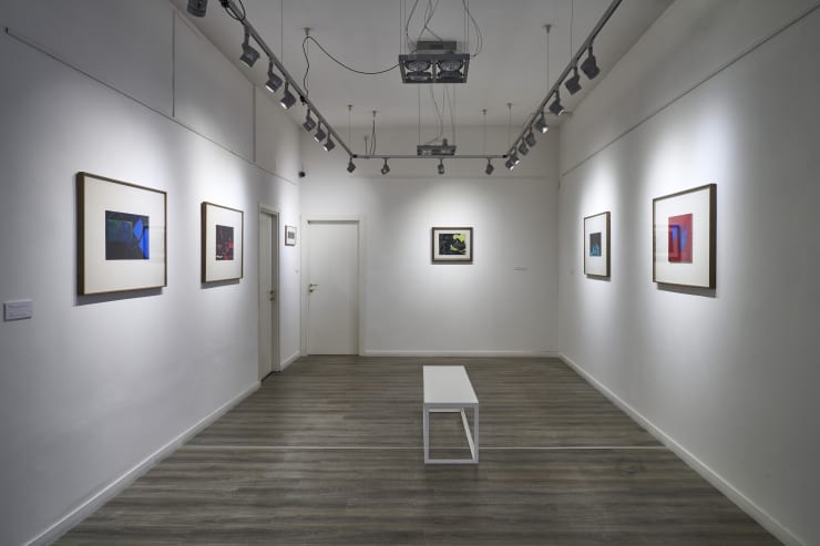Veduta della mostra.