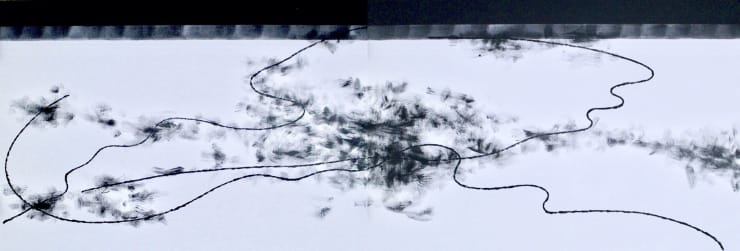 Koji Yamamoto, Black Pine, 2024, 112 x 324cm, inchiostro di china e acrilico su tela.